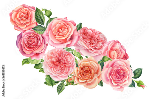 Bouquet of flowers pink roses, isolated white background. Watercolor delicate flowers  © Hanna