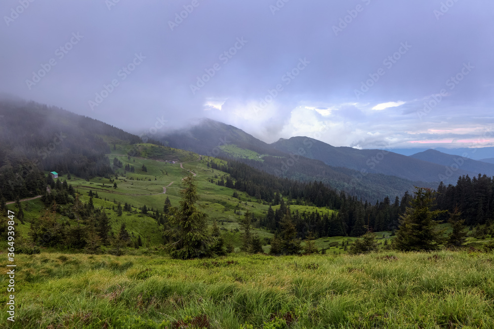 Amazing landscape with high mountains, fog and sky. The early morning mist. Majestic spring day. Dense fog with beautiful light. The lawn with green grass. Free space for text.