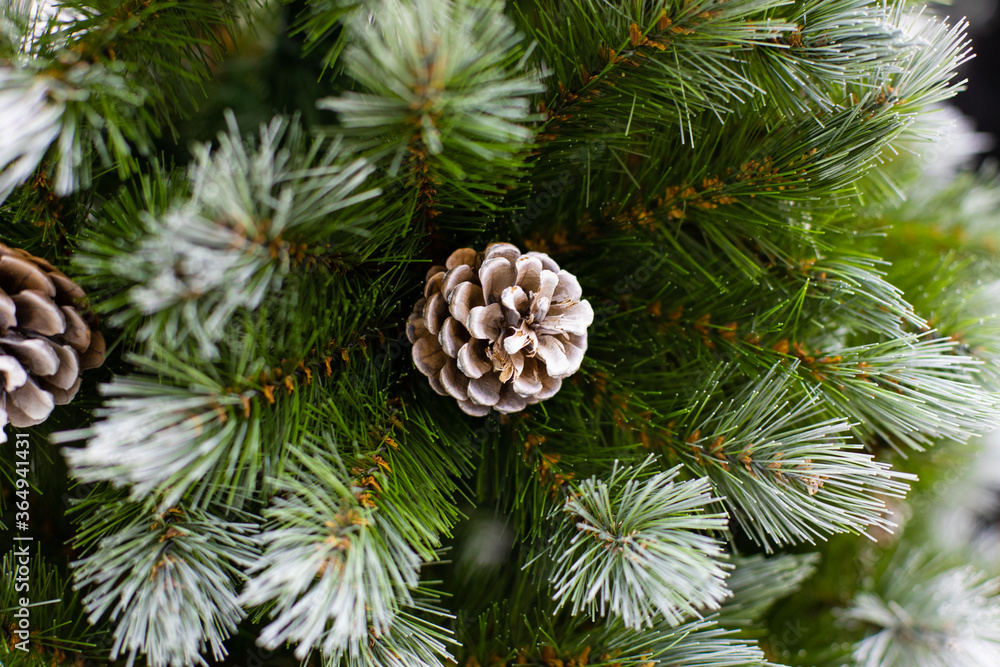 Natural fir cone on a green Christmas tree. Festive background wallpaper backdrop New Year and Christmas, artificial green spruce pine tree with fluffy needles for design Natural fir cone on a green Christmas tree. Festive background wallpaper backdrop New Year and Christmas, artificial green spruce pine tree with fluffy needles for design
