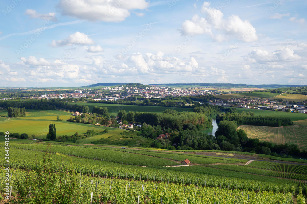 Charmante vue d'un joli paysage de Champagne en France