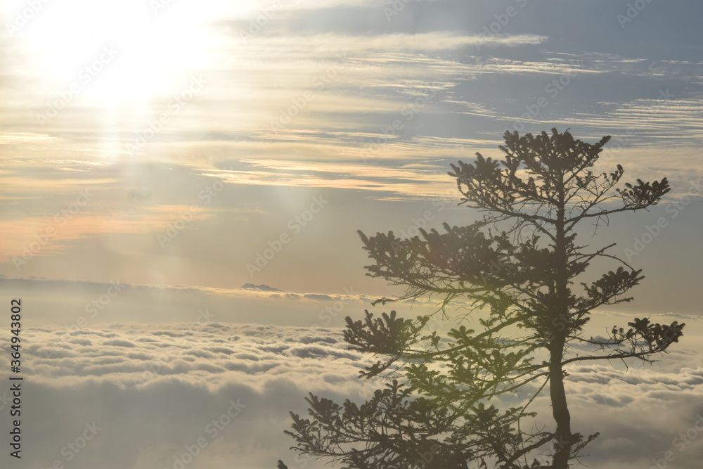 kalinchowk nepal landscape visitnepal2020
kalinchowk nepal landscape visitnepal2020
