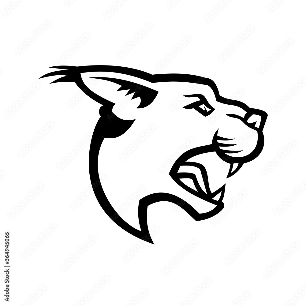Head of Angry Caracal Side Mascot Black and White Head of Angry Caracal Side Mascot Black and White
