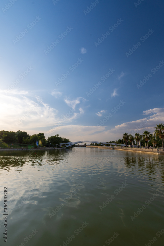 Lake view at sunset with bridge in the background and vegetation, in the Juan Carlos I park in Madrid; Spain, vertically