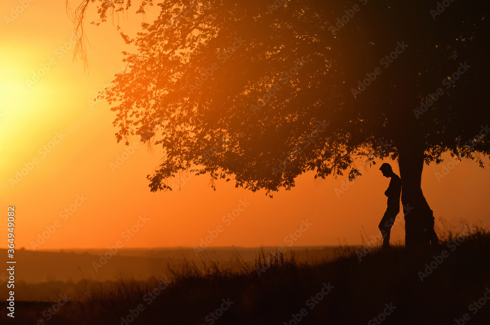 Oak and Man Silhouette with Sunset Light in Summer