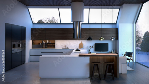 Modern luxury kitchen interior design front view