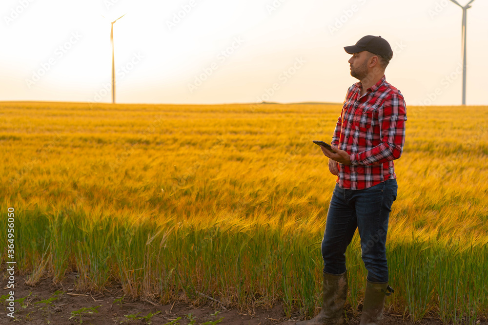 Portrait of Male farmer standing in wheat field with tablet  inspecting crops. Sunset in backgorund