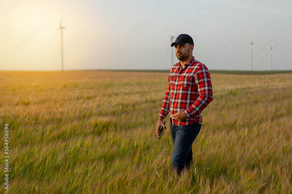 Portrait of Male farmer standing in wheat field with tablet inspecting crops. Portrait of Male farmer standing in wheat field with tablet inspecting crops.