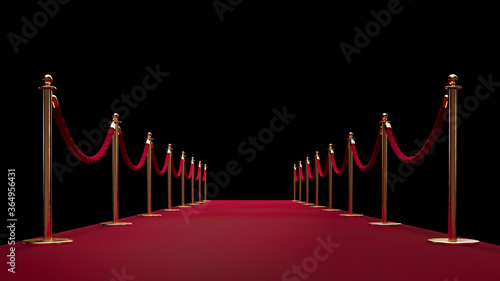Red carpet enterance. Private event. Film festival. Celebrities