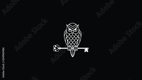 A geometric line art icon logo of an owl