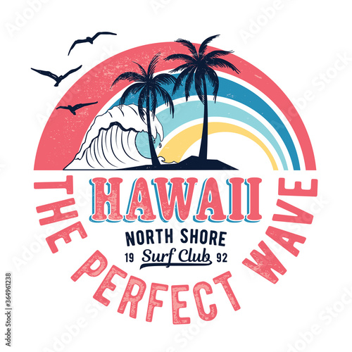 Vintage Hawaii theme text with palms, waves and birds vector illustrations. For t-shirt prints and other uses.