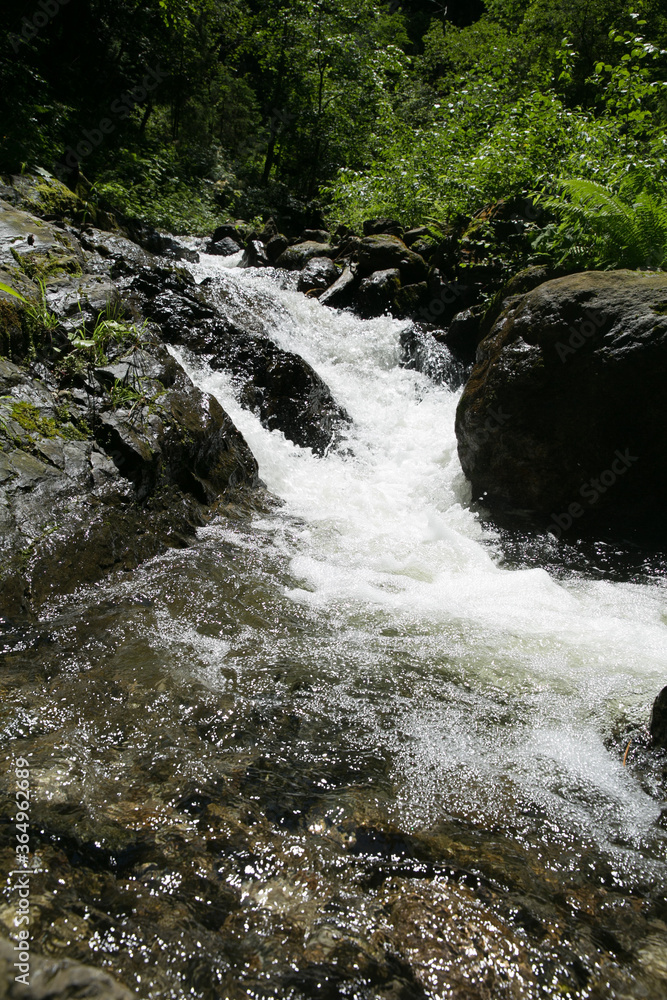 Fototapeta premium Forest waterfalls in Austria, Carinthia region. Tourist route over Lake Feld am See. Mountain health trail. Mountain route. Waterfalls in the forest.