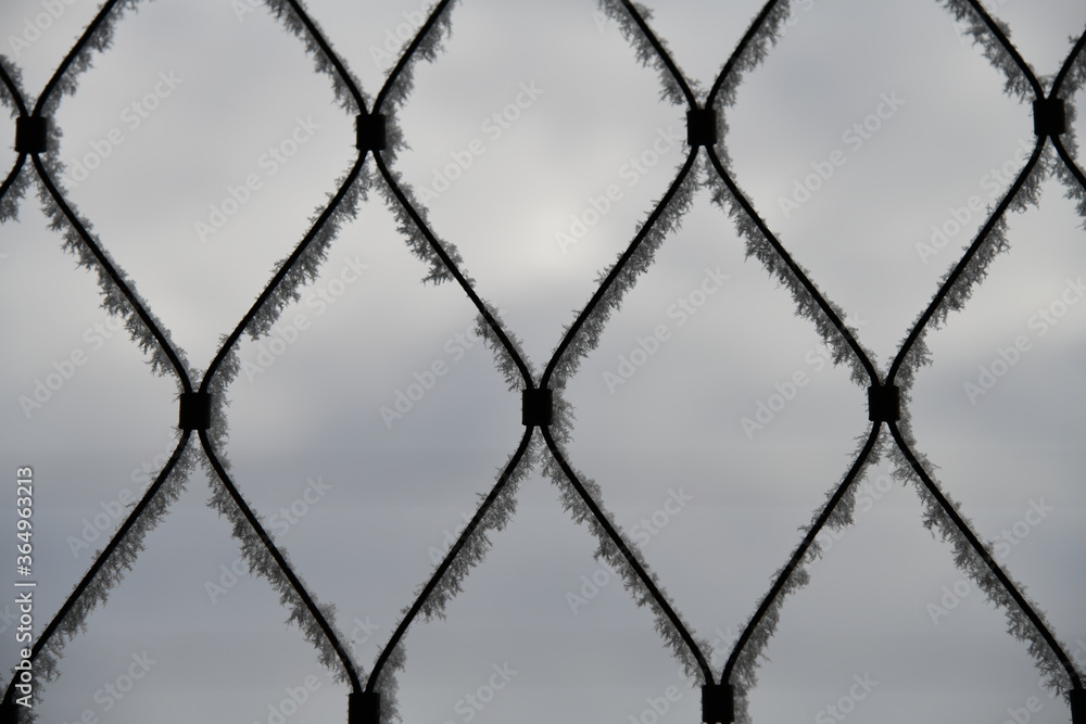 Gitter, Netz, Rauhreif, mit blaugrauem Hintergrund - Himmel Gitter, Netz, Rauhreif, mit blaugrauem Hintergrund - Himmel