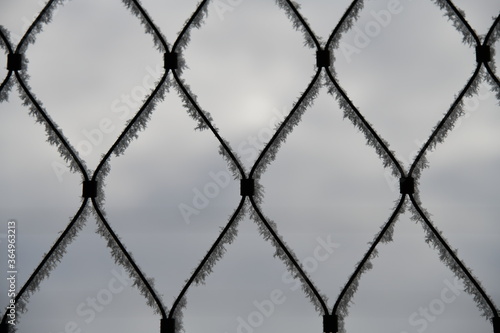 Gitter, Netz, Rauhreif, mit blaugrauem Hintergrund - Himmel