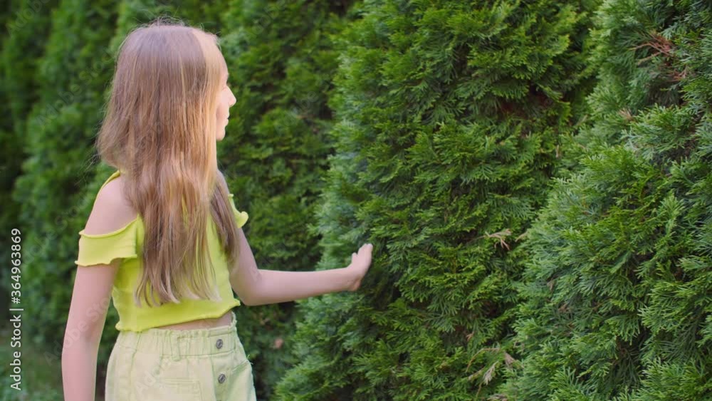Teenager girl touching hand fluffy green cypress on garden walk. Happy girl walking in summer garden touching evergreen thuja cupressus Teenager girl touching hand fluffy green cypress on garden walk. Happy girl walking in summer garden touching evergreen thuja cupressus
