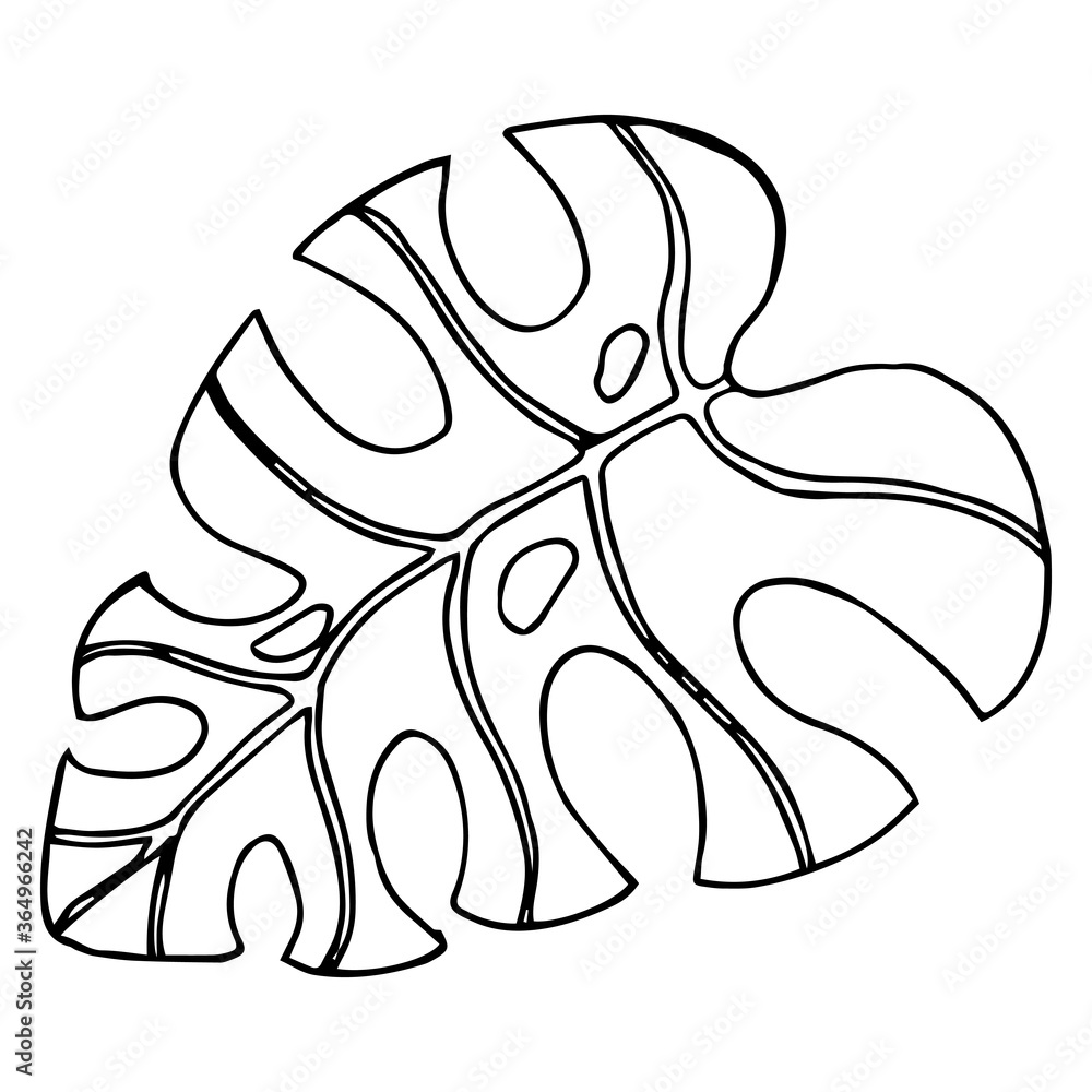 Leaf of the tree. Palm leaf. Vector illustration of a falling leaf of a tree. Hand drawn tree leaf. Leaf of the tree. Palm leaf. Vector illustration of a falling leaf of a tree. Hand drawn tree leaf.