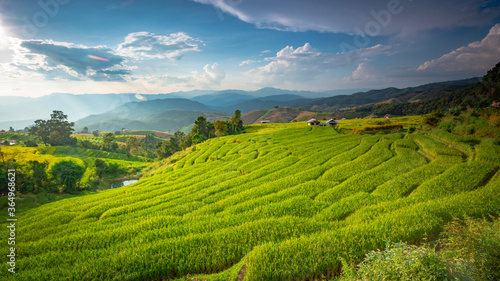 Beautiful landscape. Paddy fields at Pa Pong Pieng village, Mae Chaem, Chiang Mai, Thailand. © PRASERT