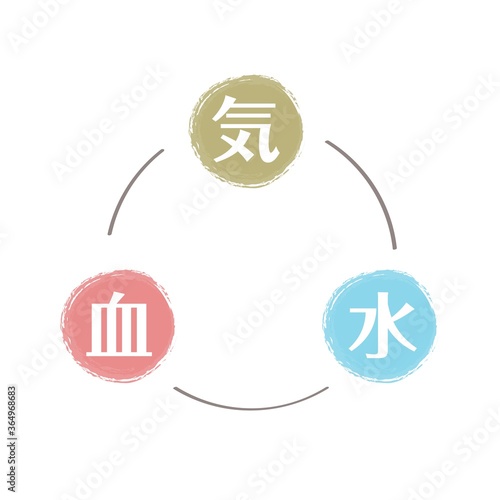 気　血　水　の図