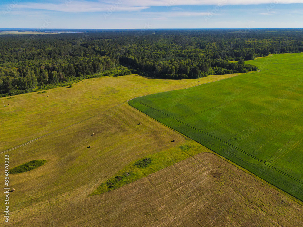 Russian Siberian field with haystacks