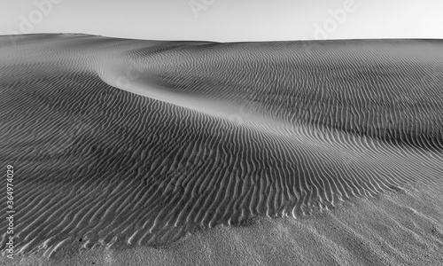 Black and white image of aa sand dune, with a textured pattern