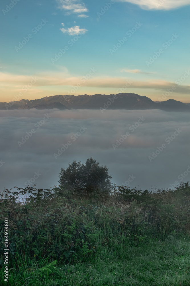 Landscape of a sea of clouds in a Spanish sunrise with the mountains in the background and the grass of a meadow in the foreground.