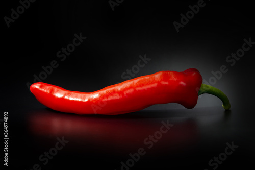 Red hot chili pepper isolated on black background photo