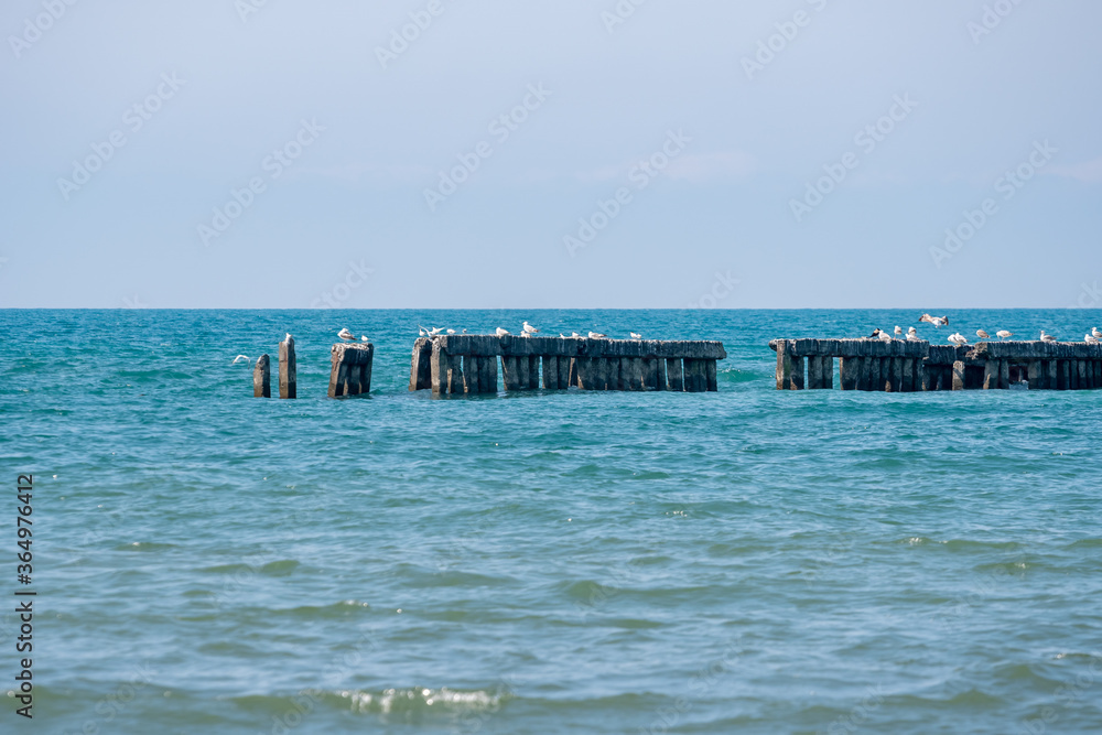 Landscape of sea, seagulls on a concrete Breakwater. Black Sea, Poti