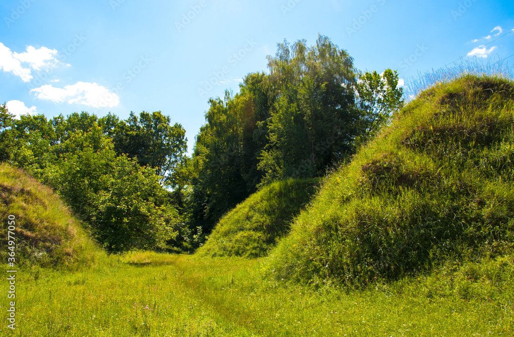 Fototapeta premium Fantastic landscape with meadow and beautiful hills covered with lush green grass