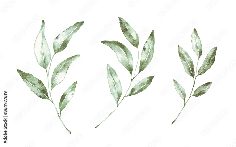 Fototapeta premium Beautiful green leaf watercolor illustration. Hand-painted leaves. Isolated on white background. High resolution. Best for digital scrapbooking, wedding invitation, birthday cards, trendy design