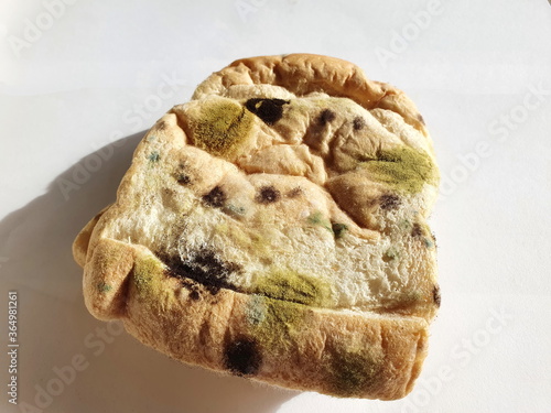 Close-up Multicolored fungi occur on bread sheets that have expired for many days. The fungus (Rhizopus Stolonifer) has a fibrous structure to use and absorb nutrients from the host, causing unwanted  photo