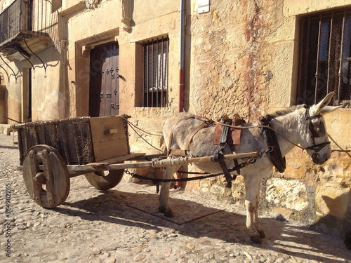 Canvas Print Empty donkey cart alongside road
