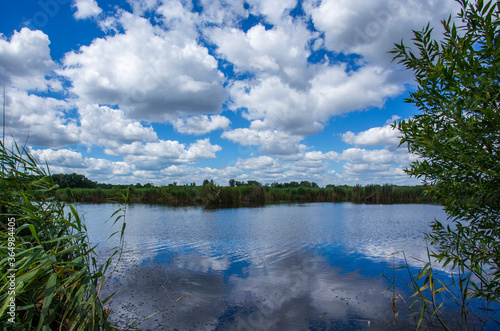 Lake in the summer with blue sky and clouds reflecting in the water