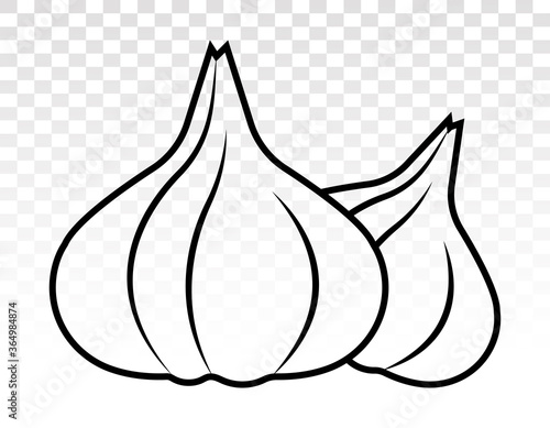 Two garlic / allium sativum display line art icon for apps and websites