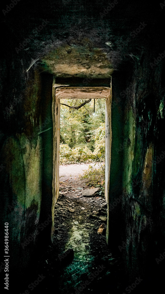 Blick aus einem Bunker in den Wald