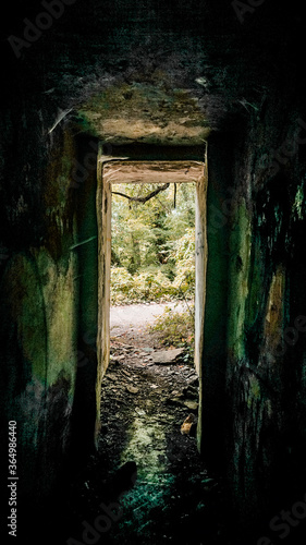 Fototapeta Naklejka Na Ścianę i Meble -  Blick aus einem Bunker in den Wald