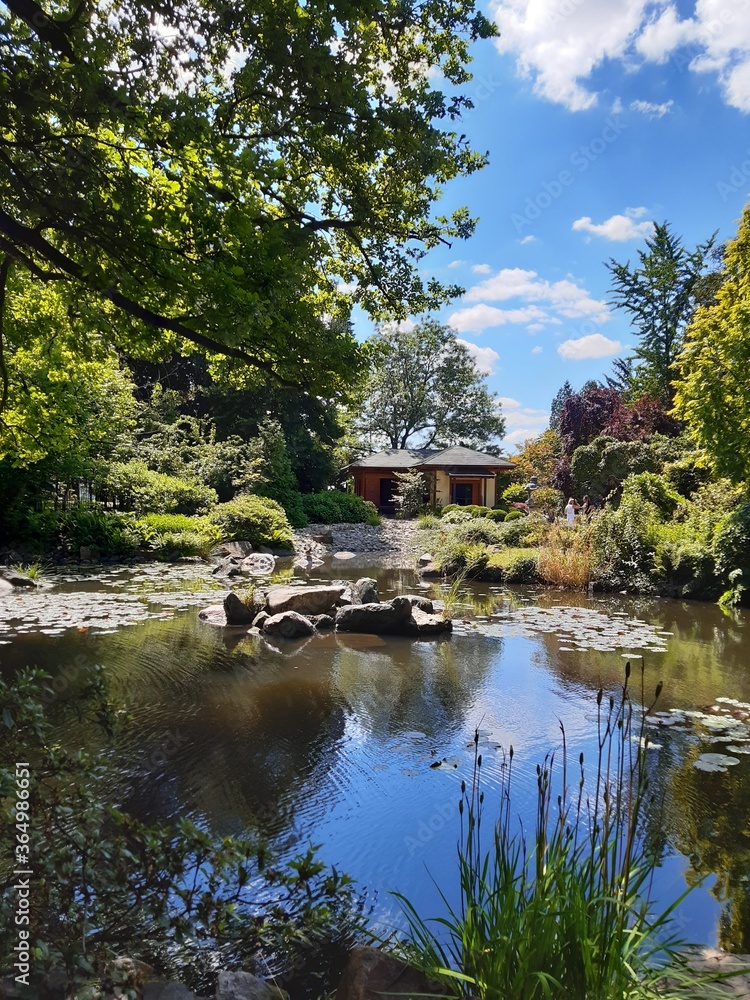 japanese garden in japan
