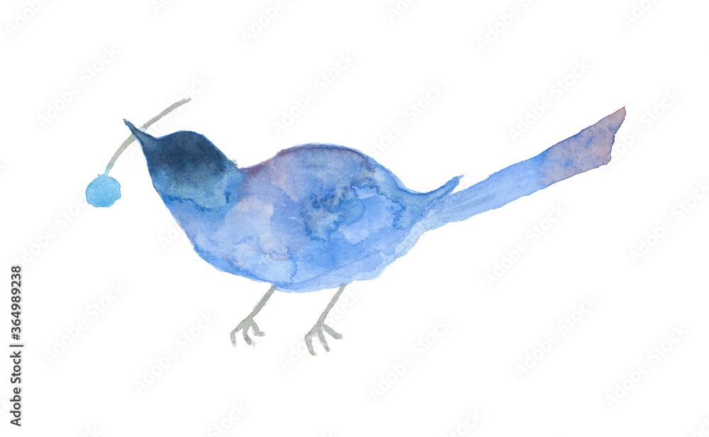 水彩で描いた木の実をくわえた青い鳥のイラスト Stock Illustration Adobe Stock