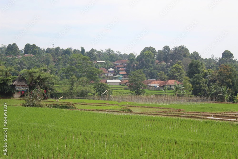 rural landscape with village in the background rural landscape with village in the background