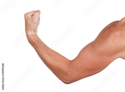 Man`s muscular arm isolated on white baclground