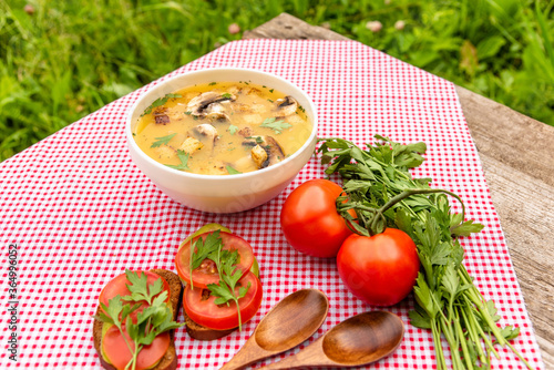 Mushroom vegetarian soup and sandwiches with tomato and herbs for a summer lunch in the open air.