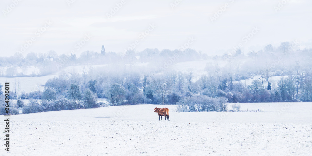 Paysage d'hiver (Normandie)