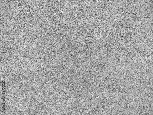 Fényképezés Texture of the grey plaster bark beetle on the wall