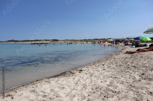 Torre Guaceto - Turisti sulla spiaggia di Punta Penna Grossa photo