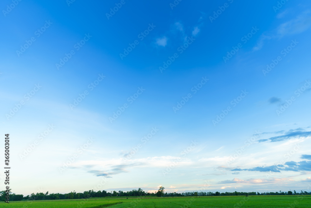 beautiful land air atmosphere bright blue sky background abstract clear texture with white cloud. beautiful land air atmosphere bright blue sky background abstract clear texture with white cloud.