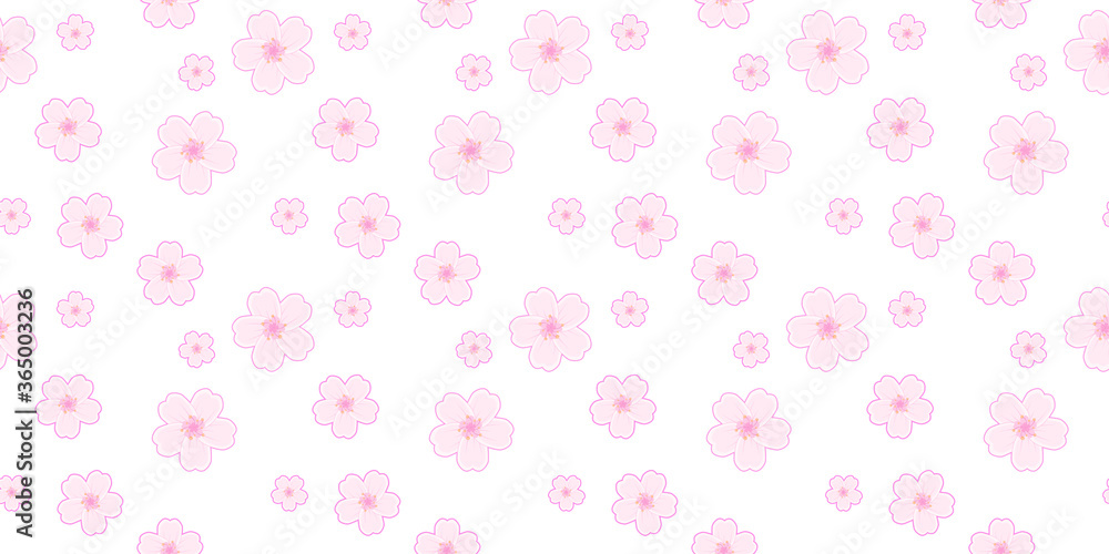 Spring seamless pattern, Cherry blossom (sakura) on a white background.