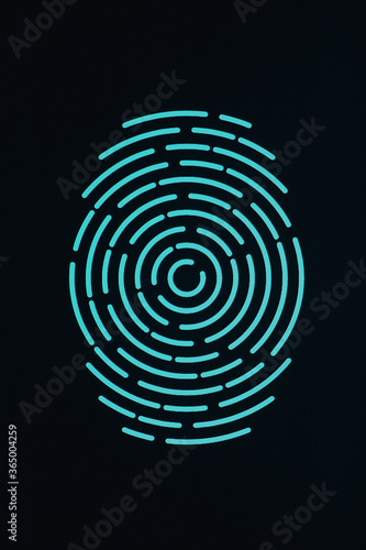 fingerprint icon on smartphone screen