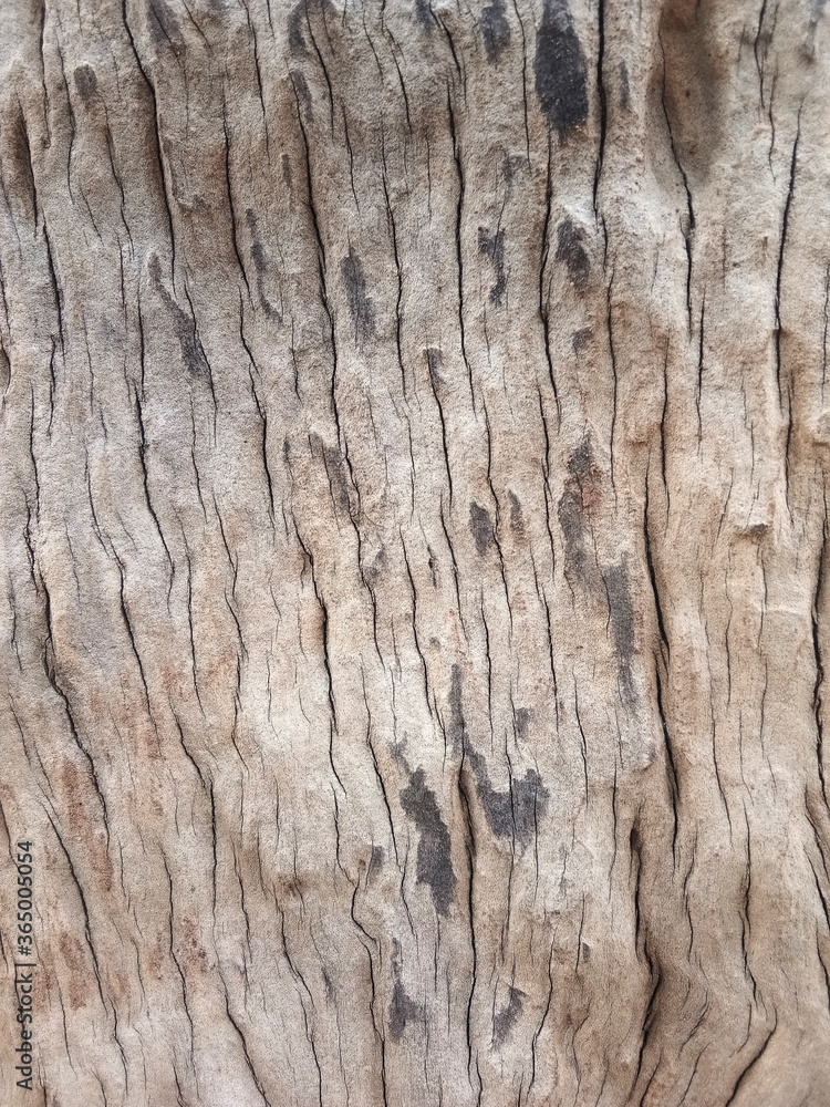 Old wooden floor for graphic design or wallpapers Old wooden floor for graphic design or wallpapers