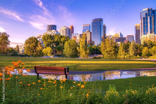 Fototapeta Naklejka Na Ścianę i Meble -  Summer Park Views Facing Downtown Calgary