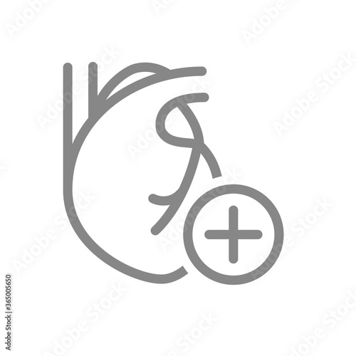Heart with plus line icon. Healthy circulatory system symbol
