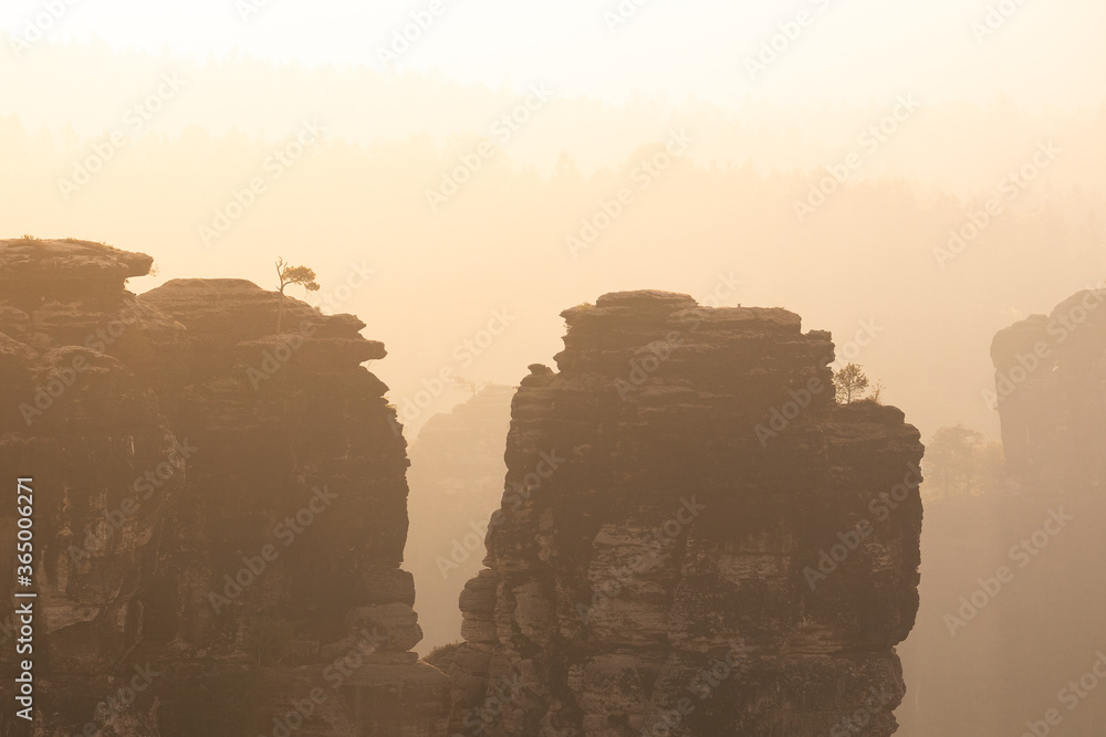 Obraz premium Sächsische Schweiz - Nebel morgens 