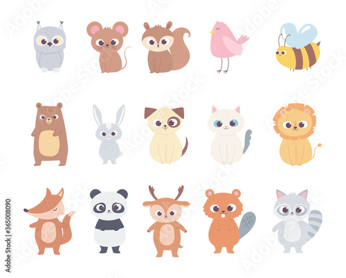 Fototapeta Naklejka Na Ścianę i Meble -  cute cartoon animals little characters owl mouse squirrel deer bird bee bear cat dog lion
